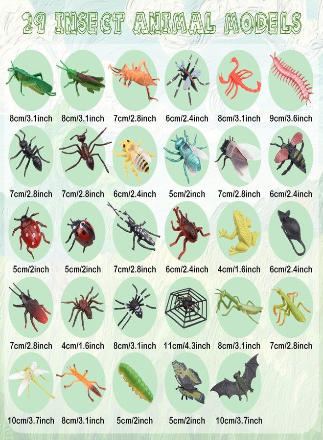 DOITEM 29Pcs Large Realistic Insect Toys Figures, Plastic Bugs Figurines Set, Realistic Insects Toy for Kid, Ladybug, Bee, Butterfly, Assorted Insect Bugs Figures Toy, Insect Themed Party Favors - Image 2